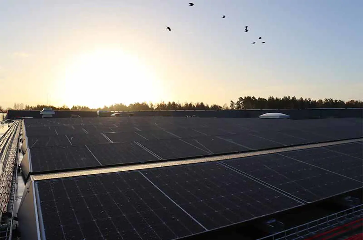 Solarzellen auf dem Dach der Axelent-Zentrale